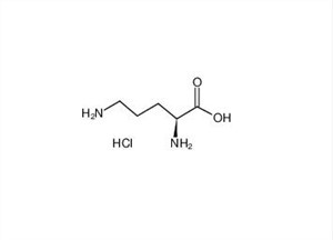 L-Ornithine מונוהידרוצ'לוריד CAS 3184-13-2