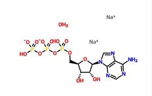 Adenosine 5'-triphosphate Disodium Salt Hydrate CAS 34369-07-8