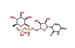 Uridine 5'-(trihydrogendiphosphate), P'-(6-deoxy-b-L-mannopyranosyl) אסתר CAS 1955-26-6