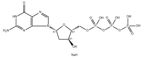 2'-Deoxyguanosine 5'-triphosphate Trisodium Salt CAS 93919-41-6