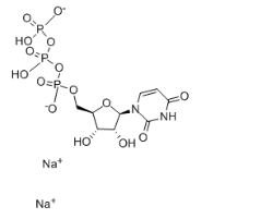 Uridine 5'-triphosphate Diaodium Salt CAS 285978-18-9